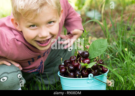 Eine Nahaufnahme eines Jungen essen Kirschen aus dem Eimer. Stockfoto