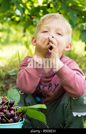 Eine Nahaufnahme eines Jungen essen Kirschen aus dem Eimer. Stockfoto