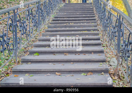 Eine alte Holztreppe nach oben Mit der gefallenen gelben Blättern bedeckt ist. Stockfoto