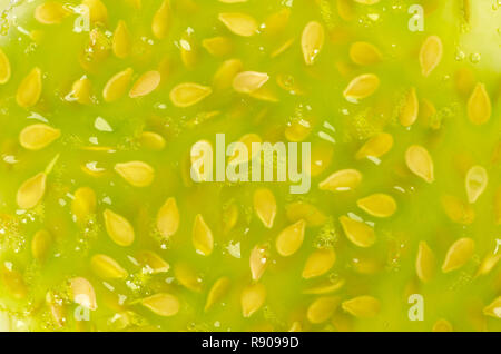 Kiwano Zellstoff Oberfläche. Fleisch von gehörnten Melone, in der Nähe und Hintergrund. Lime Green, Geleeartige Fleisch von Afrikanischen gehörnten Gurke, Jelly Melone. Stockfoto