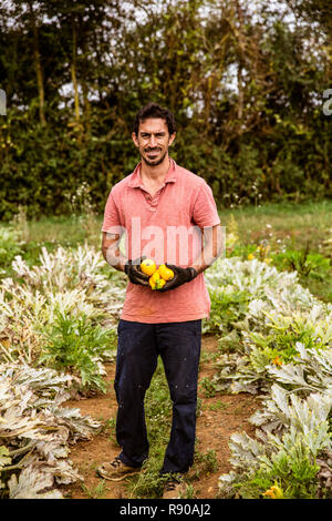 Bauer stehen im Feld, halten frisch geernteten gelbe Zucchini, lächeln in die Kamera. Stockfoto