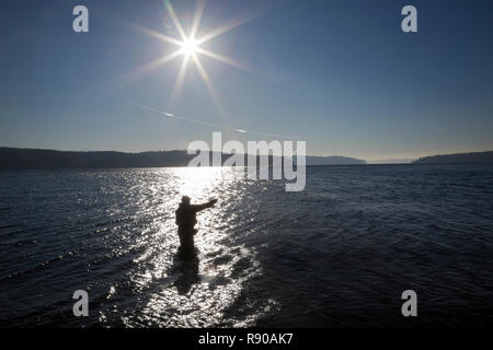 Die Silhouette eines Fliegenfischer Casting für searun Halsabschneider Forellen und Lachs am Puget Sound in Gig Harbor, Washington, USA Stockfoto