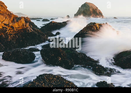 Muscheln bedeckte Felsen im Vordergrund mit brechenden Wellen entlang der Küste in der Abenddämmerung, McClures Strand, Point Reyes National Seashore, Kalifornien, USA. Stockfoto