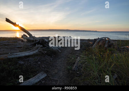 Ein Weg, um das Salz Wasser Strand bei Sonnenaufgang an einem Strand an der nord west Küste der USA. Stockfoto