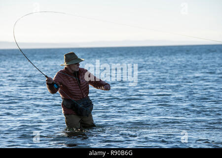 Ein Kaukasier Männlich Fliegenfischer wirft für searun Küsten Halsabschneider Forellen und Lachse in Salzwasser aus indischen Insel im Nordwesten von Washington State, USA. Stockfoto