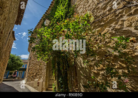 In Lourmarin, Provence, Luberon, Vaucluse, Frankreich - Mai 30, 2017: ein Haus aus Bruchstein in Lourmarin in einer schmalen Gasse mit wild überwucherten Rosen. Stockfoto