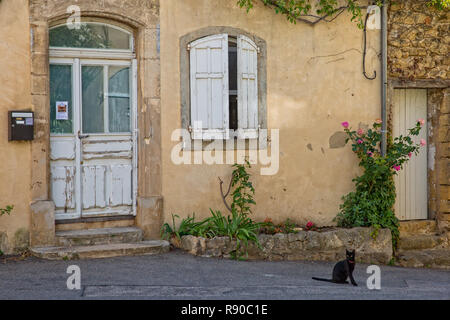 In Lourmarin, Provence, Frankreich - Mai 30, 2017: eine schwarze Katze vor einem typischen Haus in einer engen Straße in Lourmarin, Provence, Vaucluse Stockfoto