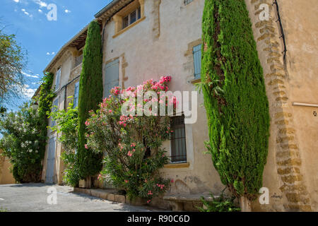 In Lourmarin, Provence, Luberon, Vaucluse, Frankreich - Mai 30, 2017: Blick auf ein Haus mit bunten Fenster mit Blumen und Zypressen in Lourmarin Stockfoto