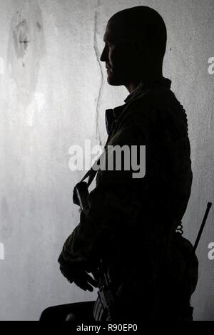 Staff Sgt. Robert Stemley eine Kavallerie Scout mit B Truppe, 6 Staffel, 1.Kavallerie Regiments, 1. Panzerdivision führt "Schutzengel" Pflicht über Training durchgeführt Mar.14 auf die Beratung Plattform Blitz. Troopers von "Eisernen Dragoner" wirken als Schutzengel für Berater während der Zugfahrt Beraten und Unterstützen Missionen auf und weg AP Blitz. Stockfoto