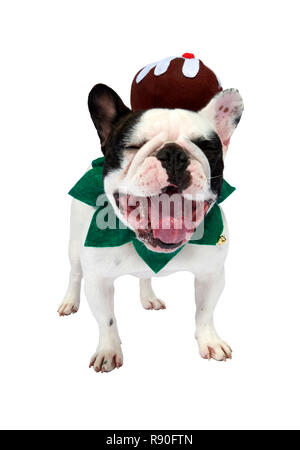 Eine Französische Bulldogge zeigt einige Festliche jubeln durch das Tragen einer Weihnachtspudding Stockfoto