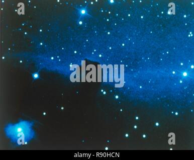 Pferdekopfnebel im Sternbild Orion. Schöpfer: NASA. Stockfoto