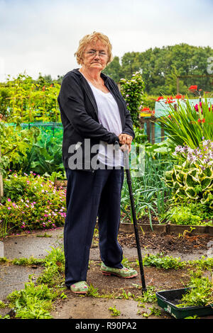 Christine Jeffers, Grundstück 17, Eglinton Züchter Kleingärten, Kilwinning, Ayrshire, Schottland Stockfoto