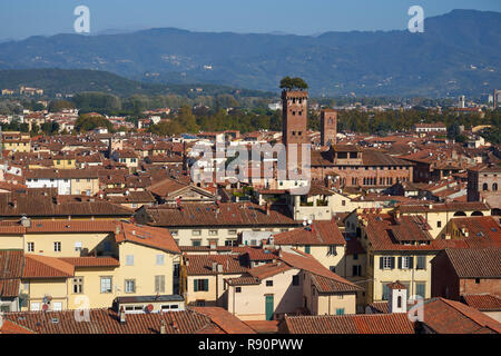 Lucca, Italien: Blick über die Dächer in Richtung Torre Guinigi und Hügel von Kathedrale San Martino Stockfoto