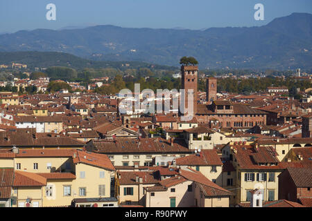 Lucca, Italien: Blick über die Dächer in Richtung Torre Guinigi und Hügel von Kathedrale San Martino Stockfoto