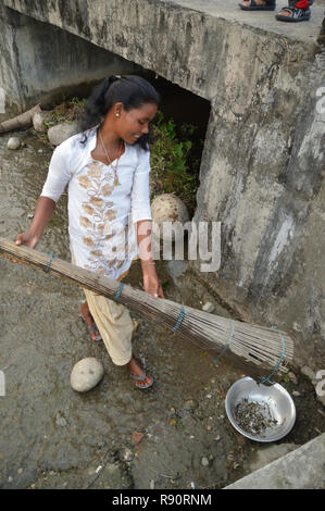 Gefangen Fische durch Bambus fischfalle von unten in einem Düker werden von adivasi Frau an Mangalbari bustee gehalten, Chalsa in Jalpaiguri Stockfoto