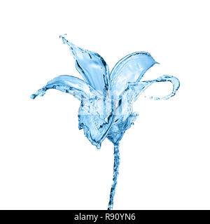 Blume aus Wasser spritzt auf weißem Hintergrund Stockfoto