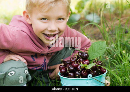 Eine Nahaufnahme eines Jungen essen Kirschen aus dem Eimer. Stockfoto