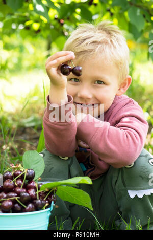 Eine Nahaufnahme eines jungen Kirschen pflücken. Stockfoto