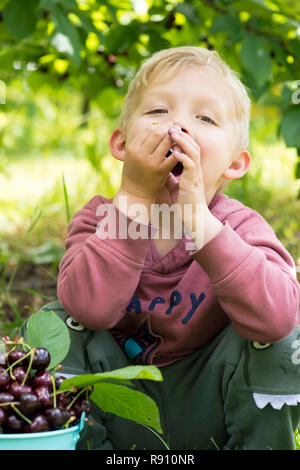 Eine Nahaufnahme eines Jungen essen Kirschen aus dem Eimer. Stockfoto