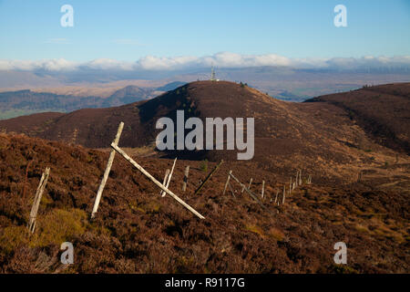 Blick über die Gipfel des Ben Gullipen von beinn Dearg in der Nähe von Callander Schottland. Stockfoto