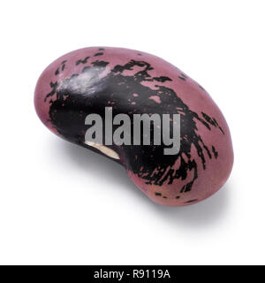 Einzelne große Scarlet runner bean auf weißem Hintergrund Stockfoto