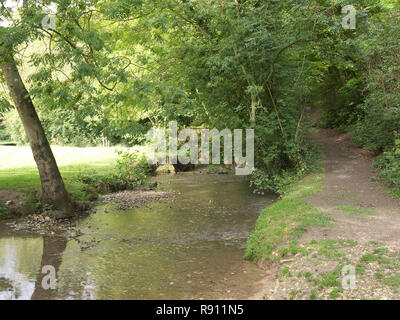Der Fluss lud im frühen Herbst Stockfoto
