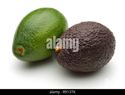 Frisches Grün und reife Avocados auf weißem Hintergrund. Studio shot Stockfoto