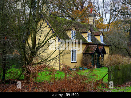 Hütte im Wald in der Nähe von Old Warden, Bedfordshire Stockfoto