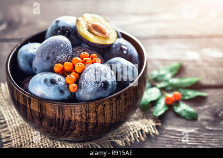 Pflaumen und Asche Beeren in Holz- Schüssel auf dem Tisch im Herbst Stockfoto