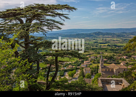 Auf dem höchsten Punkt des Dorfes, neben einer alten Kirche und den hohen Zedern, mit Blick auf den Luberon, Bonnieux, Provence, Vaucluse, Frankreich Stockfoto