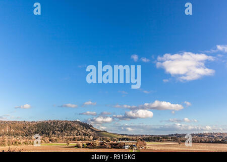 Blick auf Box Hill von Denbies Wine Estate, North Downs, Surrey, England, UK gesehen. Stockfoto