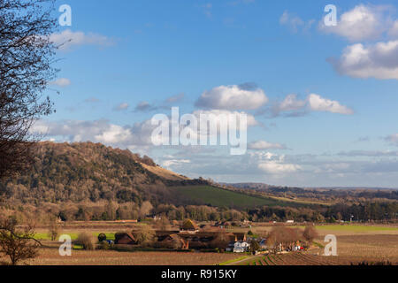 Blick auf Box Hill von Denbies Wine Estate, North Downs, Surrey, England, UK gesehen. Stockfoto