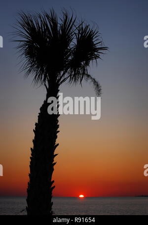 Eine Palme Silhouette ist wie die Sonne über dem Wasser in Pass Christian, Mississippi Dez. 8, 2010 setzt. Stockfoto