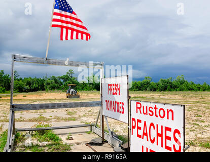 Eine amerikanische Flagge am Straßenrand Paul Verzwyvelt's Obststand, Juni 12, 2018, Pass Christian, Mississippi. Stockfoto