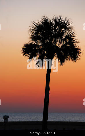 Eine Palme Silhouette ist wie die Sonne über dem Wasser in Pass Christian, Mississippi Dez. 8, 2010 setzt. Stockfoto