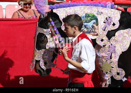 Junge mit einem Pferd in bestickten Kostüm in die Parade in Los Caballos Del Vino Caravaca de la Cruz. Die Stickerei wird verwendet Kostüm des Pferdes zu machen Stockfoto