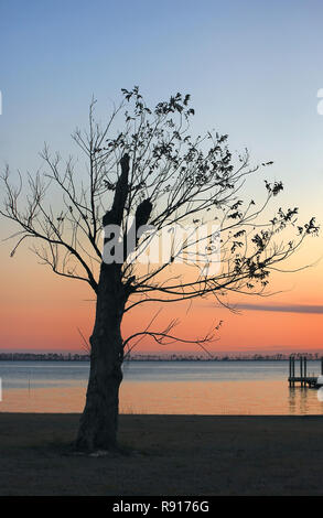 Die Sonne am Strand in Ocean Springs, Mississippi, am Dez. 18, 2010. Stockfoto