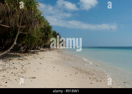 Der Strand von Gili Nanggu in Lombok ist mit Korallen verstreut. Stockfoto