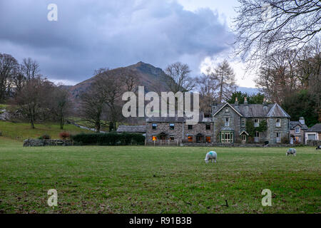 Traditionelle Steinhäuser am Rande von Grasmere Dorf mit einem Berg im Hintergrund und Schafe weiden im Vordergrund. Stockfoto