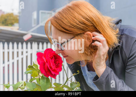 Rothaarige Frau duftende Rose Stockfoto