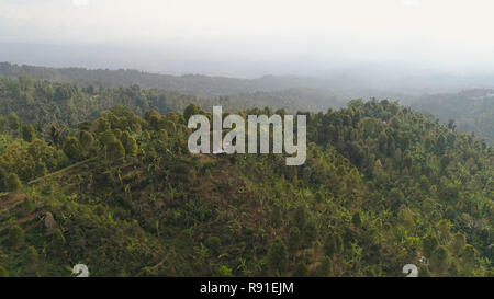 Tropische Wald in den Bergen mit Ackerland, Dorf, Felder mit Getreide, Bäume. Luftaufnahme Ländereien am Berghang. tropische Landschaft Bali, Indonesien. Stockfoto