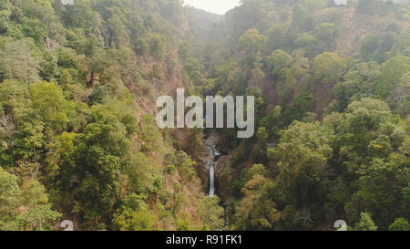 Wasserfall im tropischen Wald. Luftaufnahme versteckten Wasserfall Regenwald in Java, Indonesien. Wald mit grünen, üppigen Vegetation. Stockfoto