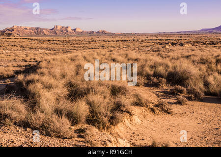 Bradenas Reales, Navarra (Spanien) Stockfoto