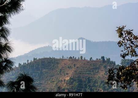 Antenne hill Baumansicht von niedrigen Wolken von oben gesehen Stockfoto