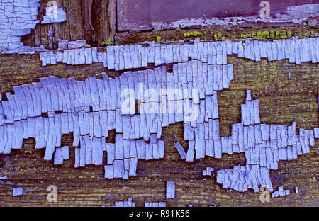 Alte blaue Board mit Risse im Lack, vintage Holz Hintergrund, grunge Plank. Alte Holz- uv-Hintergrund mit bleibt der Stücke von Reste der alten Pa Stockfoto