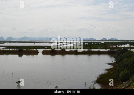 Austernbetten und Perlenarbeiten Hanoi / Halong Bay Vietnam Stockfoto