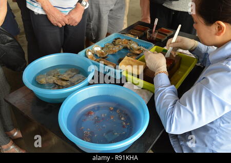 Austernbetten und Perlenarbeiten Hanoi / Halong Bay Vietnam Stockfoto