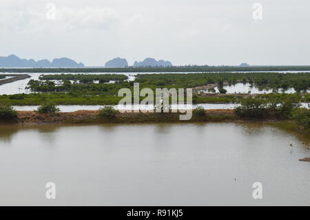 Austernbetten und Perlenarbeiten Hanoi / Halong Bay Vietnam Stockfoto