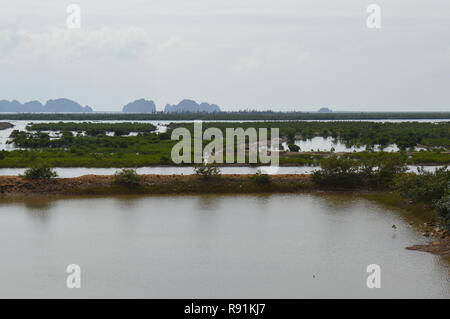 Austernbetten und Perlenarbeiten Hanoi / Halong Bay Vietnam Stockfoto