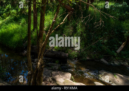 Wasserfall in Korumburra botanischen Gärten in Victoria Australien Stockfoto